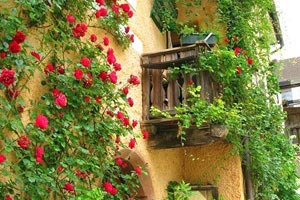 国内球队备战亚洲区比赛，战术布局精准