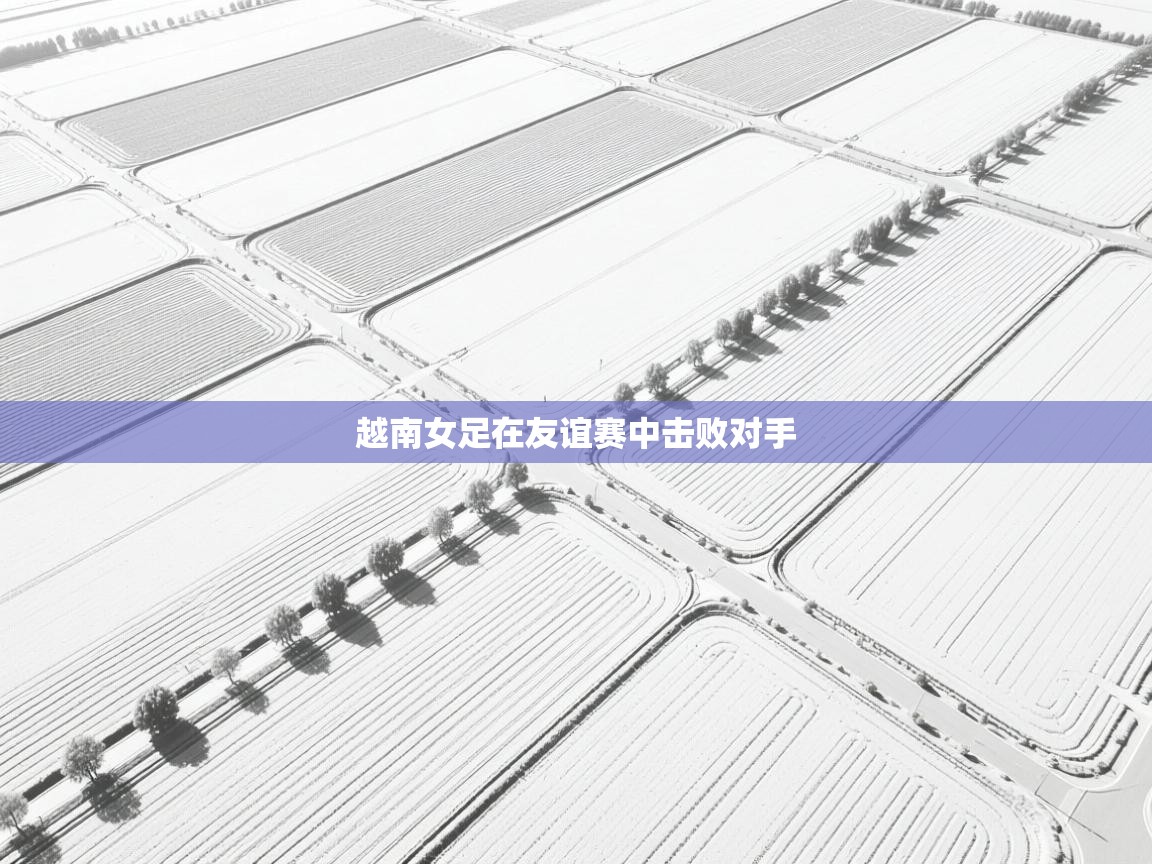 越南女足在友谊赛中击败对手 第1张