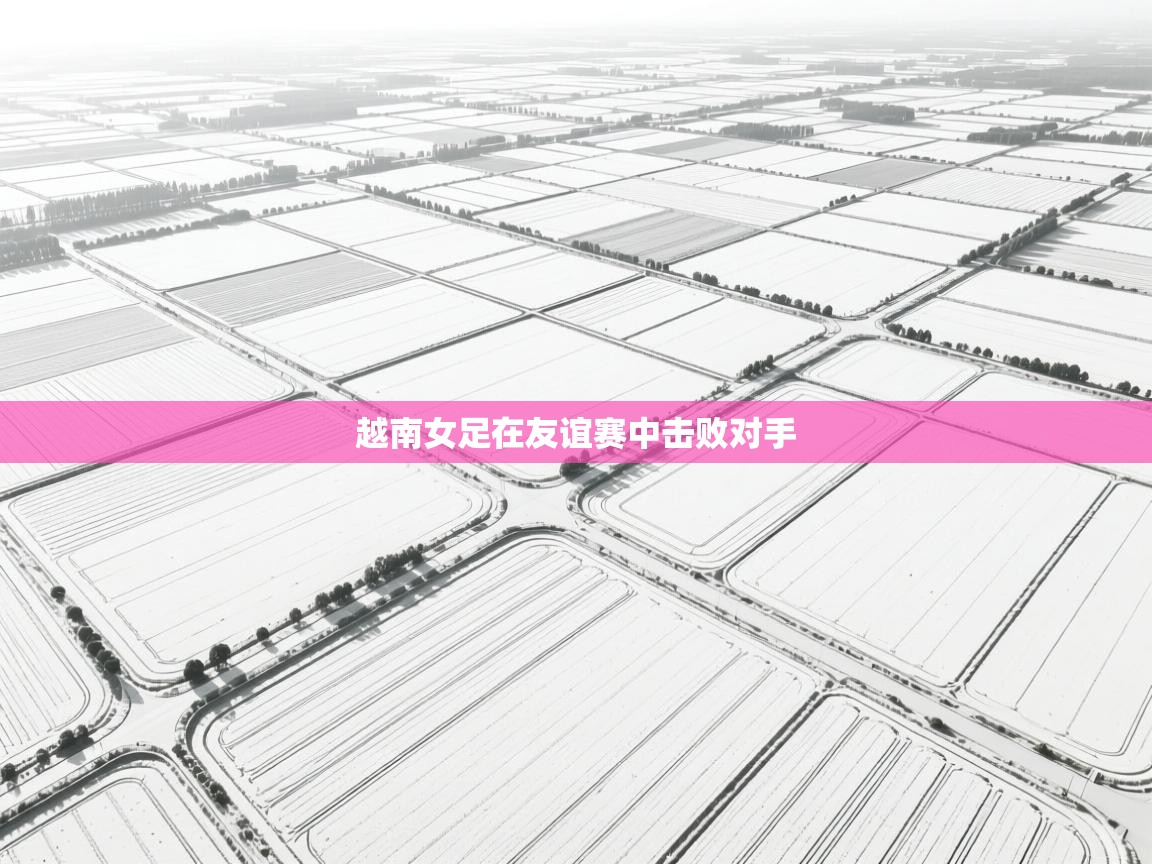 越南女足在友谊赛中击败对手 第2张