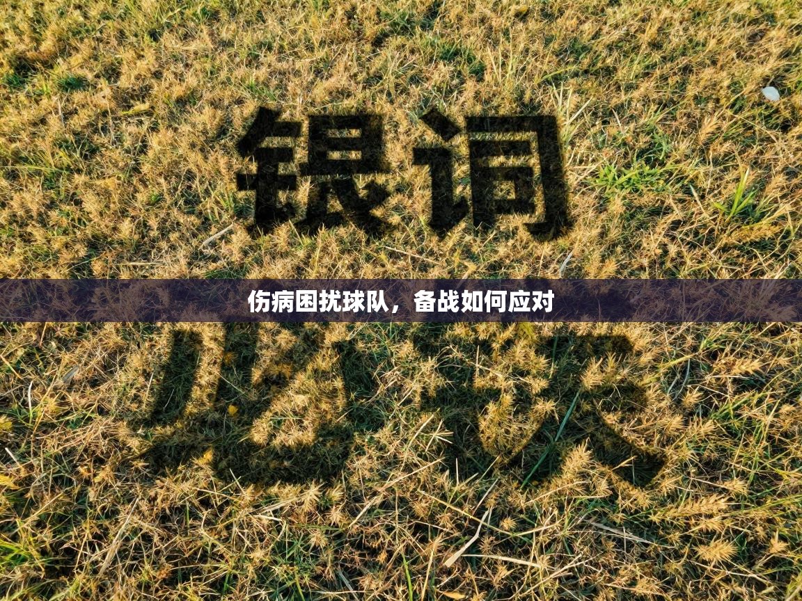 伤病困扰球队,备战如何应对 第1张