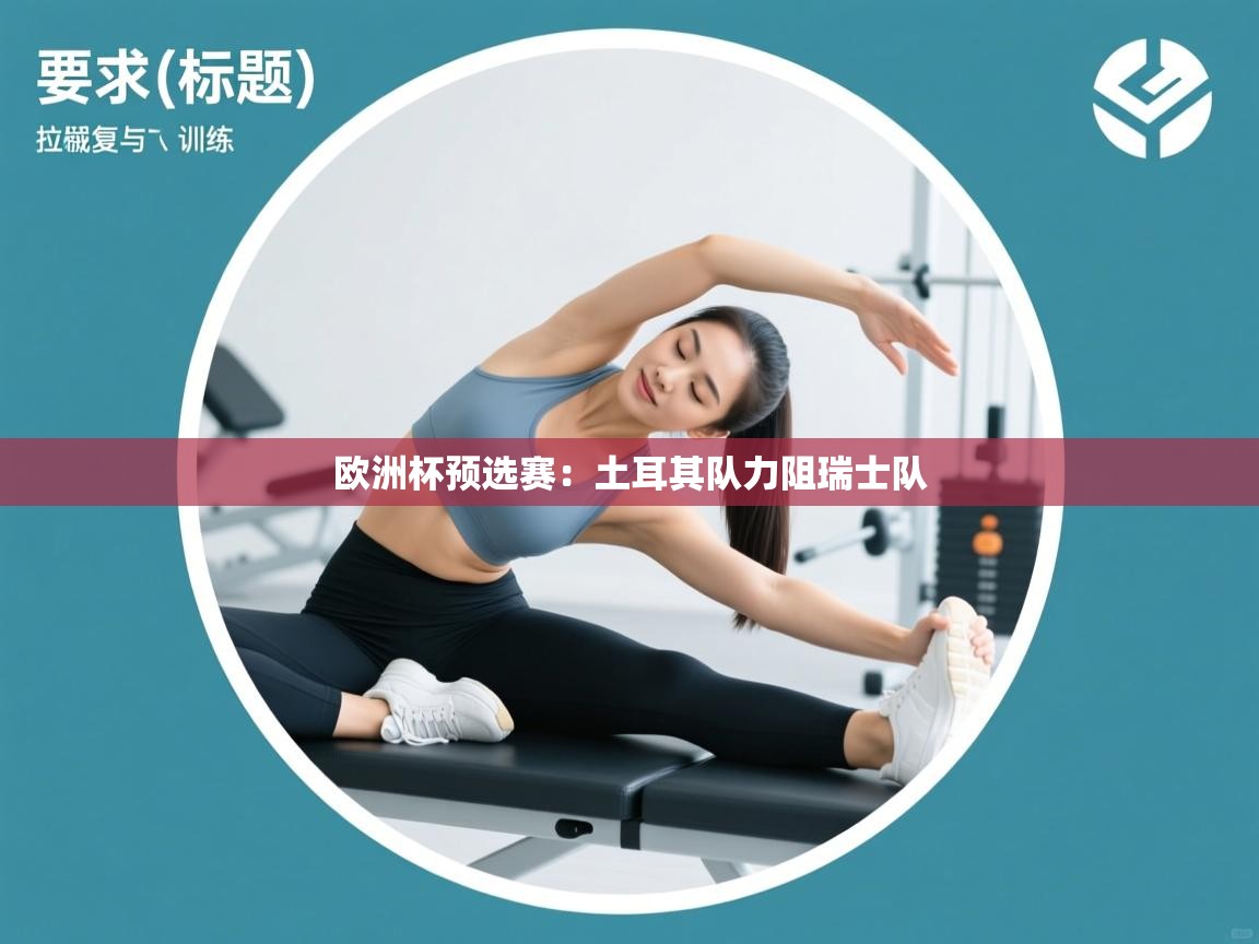 欧洲杯预选赛:土耳其队力阻瑞士队 第2张