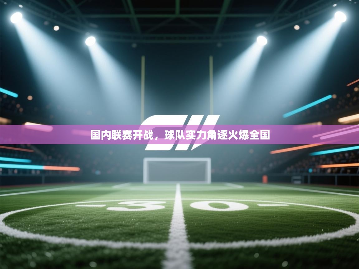 国内联赛开战，球队实力角逐火爆全国  第2张