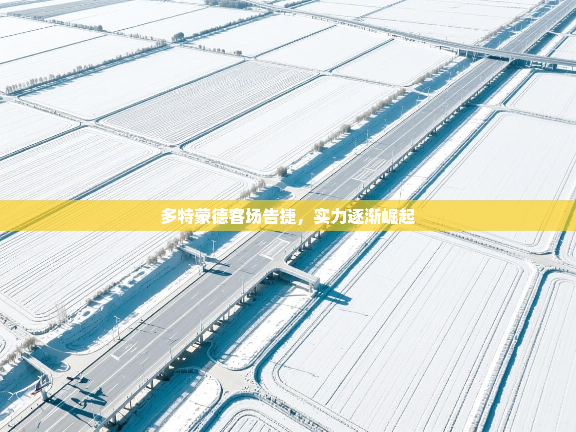 多特蒙德客场告捷,实力逐渐崛起 第1张