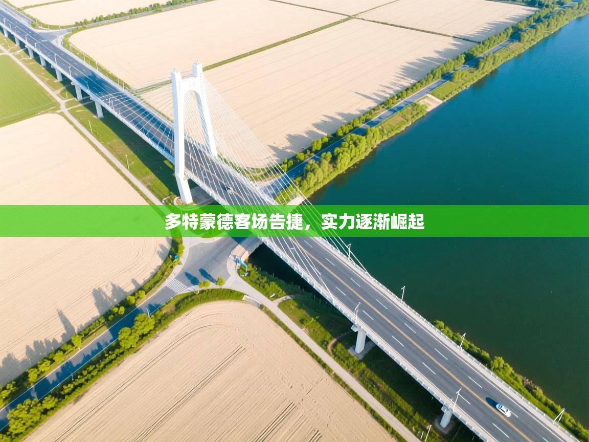 多特蒙德客场告捷,实力逐渐崛起 第2张