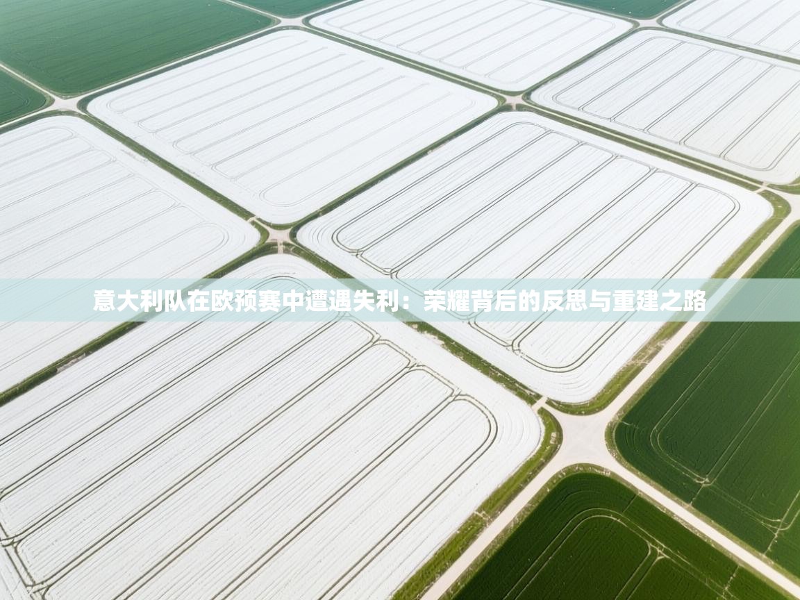 意大利队在欧预赛中遭遇失利：荣耀背后的反思与重建之路  第1张