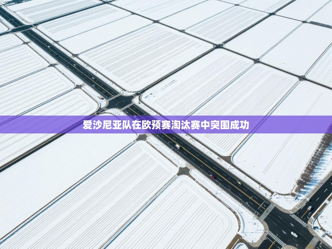 爱沙尼亚队在欧预赛淘汰赛中突围成功  第1张