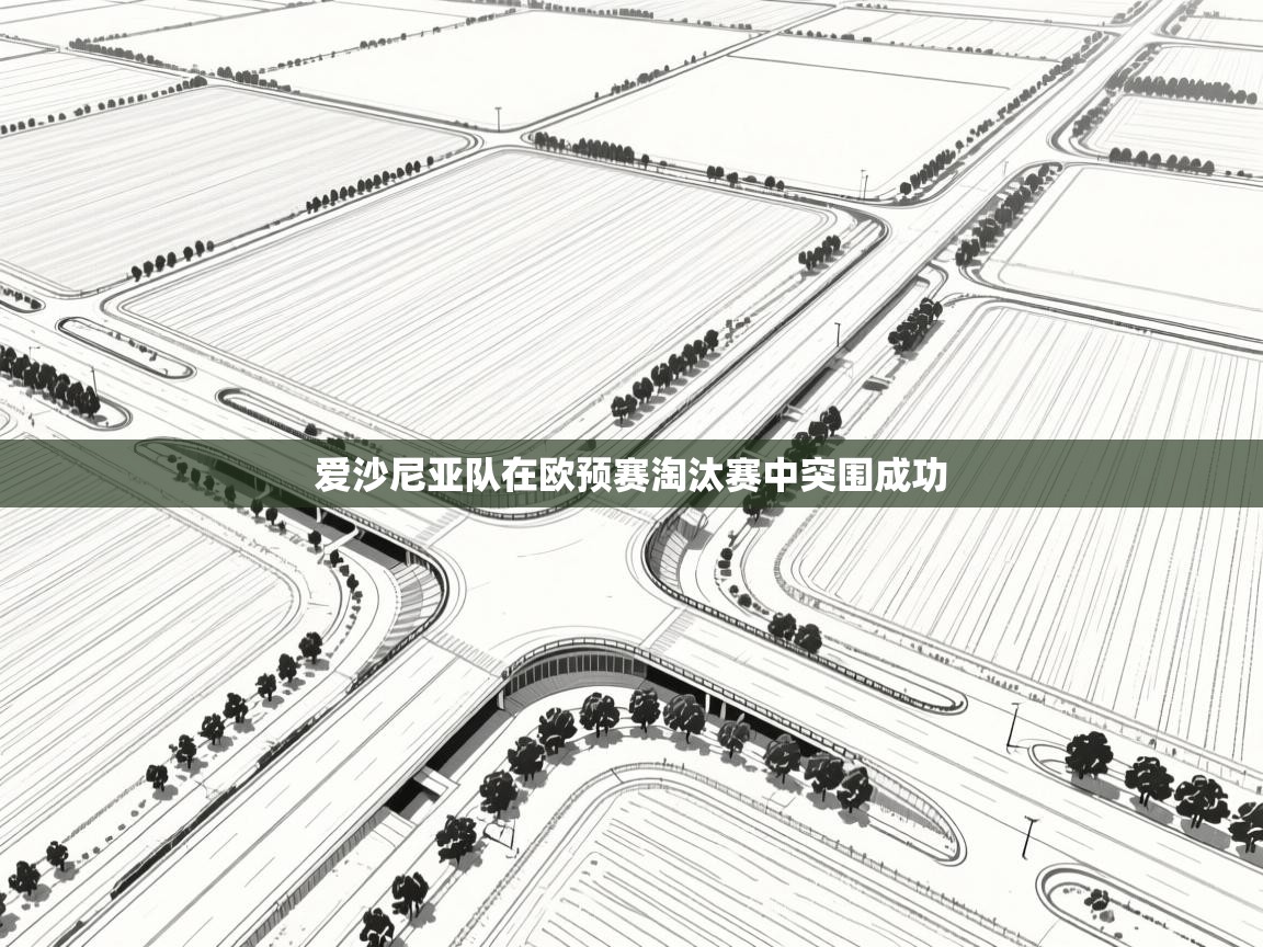 爱沙尼亚队在欧预赛淘汰赛中突围成功  第2张