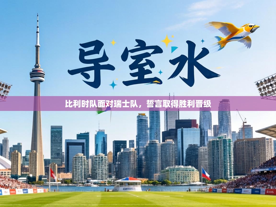 比利时队面对瑞士队,誓言取得胜利晋级 第2张